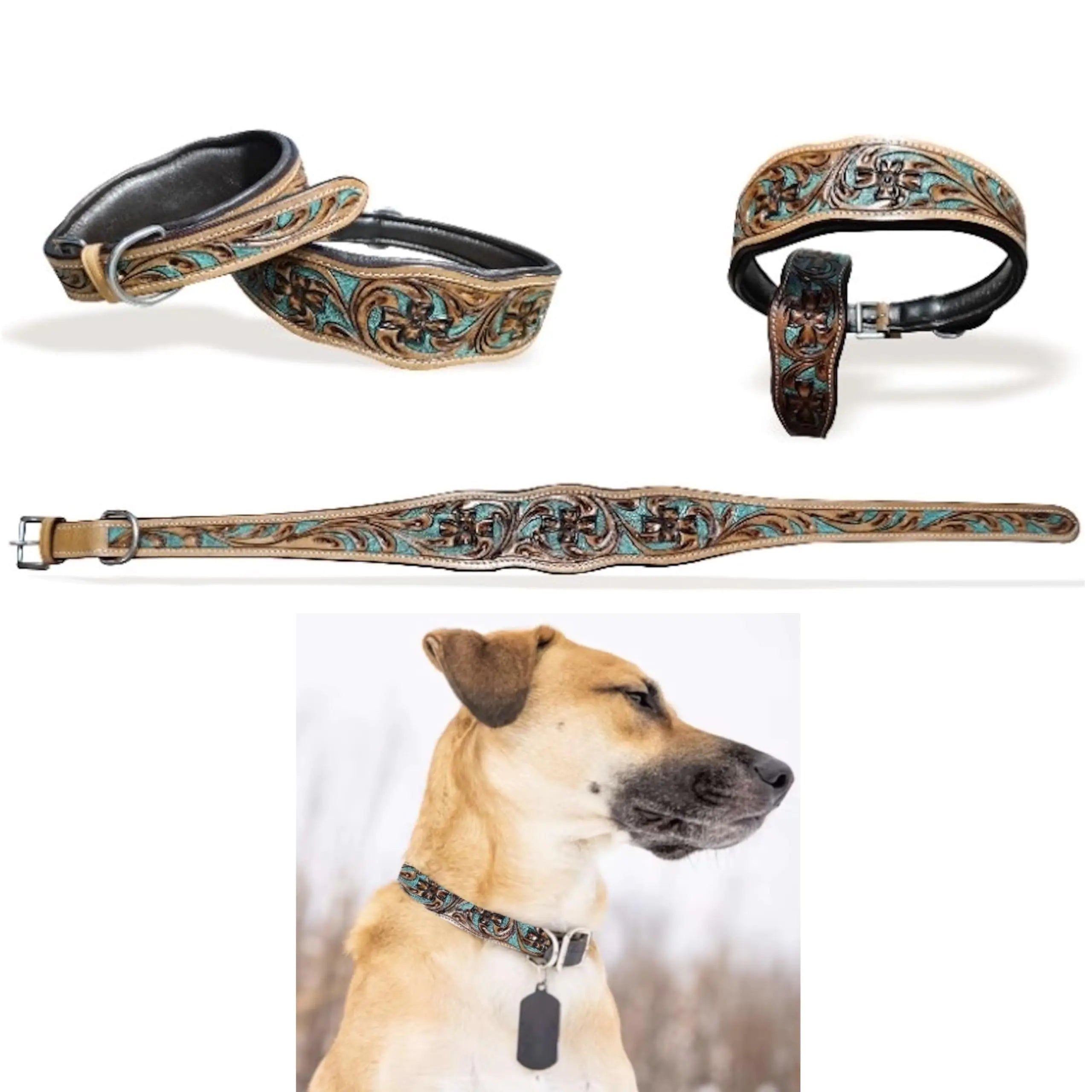 Majestic Ally Genine Leather Dog Collar