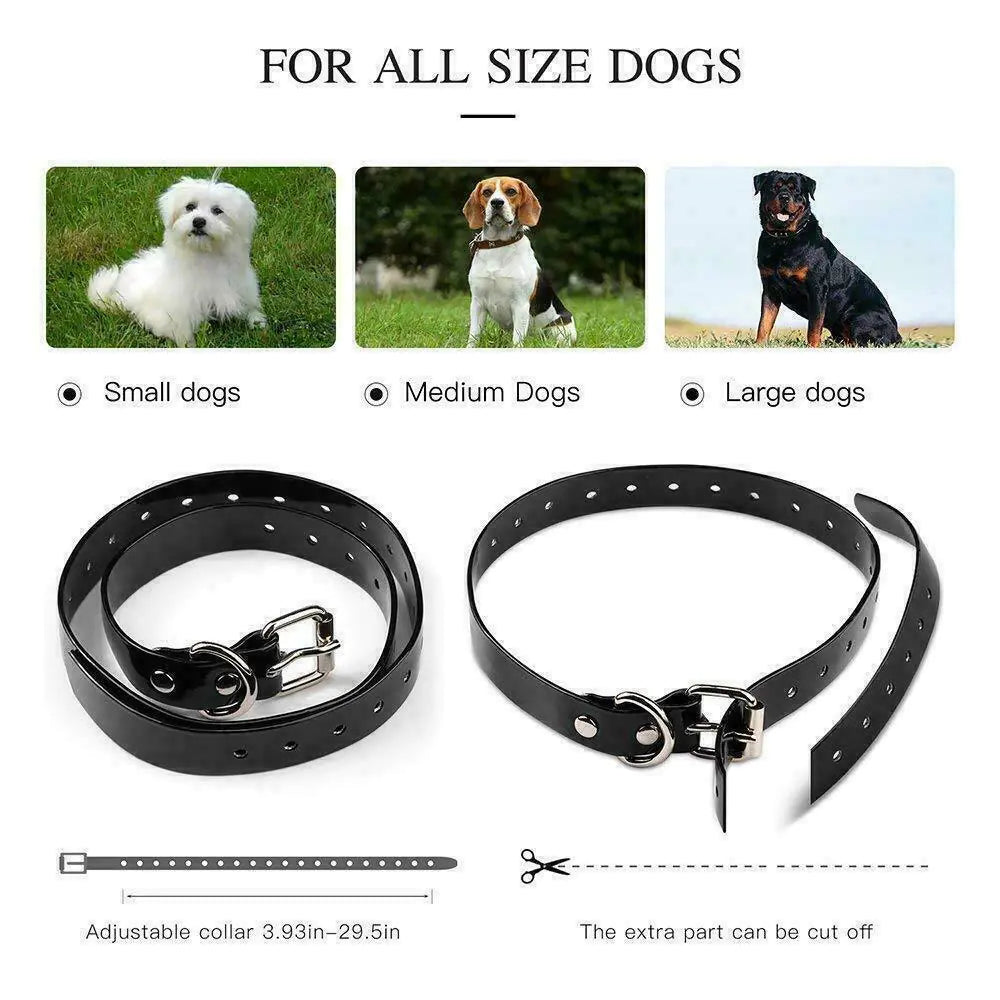 3000 FT Dog Training Collar(s)