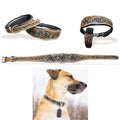 Majestic Ally Genine Leather Dog Collar