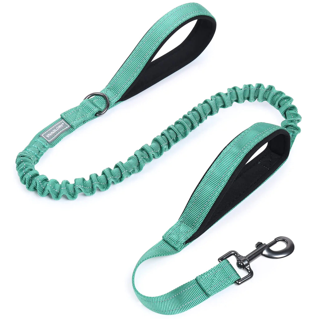 Heavy Duty Bungee Leash with Dual Padded Handles